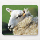 Search for sheep mousepads Farming