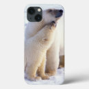 Recherche de mammifère coques Ours