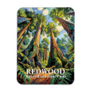 Search for sequoia national park magnets Retro vintage travel