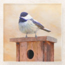 Recherche de original dessous de verres Oiseau