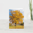 Search for maple cards Rustic