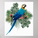 Search for big bird posters Green