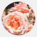 Search for alabama stickers Close up