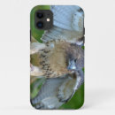 Search for hawk electronics Photography