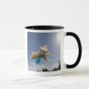 Search for vital mugs Outdoors