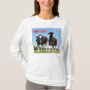 Search for cocky tshirts Arrogant