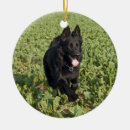 Search for black german shepherd ornaments Alsatian