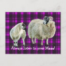 Search for sheep painting postcards Lamb