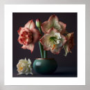 Recherche de amaryllis posters Décoration