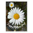Search for daisy mothers day cards Daisies