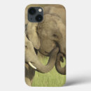 Search for asian elephant cases Elephas maximus