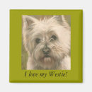 Recherche de chien westie magnets Chiens