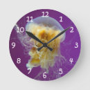 Search for jellyfish clocks Ocean