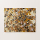 Search for honey bee puzzles Beekeeping