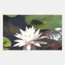 Search for flora rectangle stickers Plants