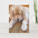 Recherche de funny frog vœux cartes Birthday