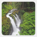 Search for sol stickers Forest