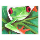 Recherche de grenouille mignonne posters Animal