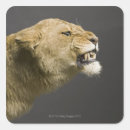 Search for head and shoulders stickers Vertical