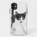 Search for studio shot iphone cases Photography