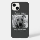 Search for bull terrier dog iphone cases Apbt