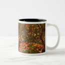 Recherche de public domain tasses Nature