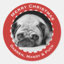 Search for family pet stickers Merry christmas