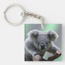 Search for australian koala bear keychains Koalas