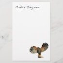 Recherche de faucon de harris Rapaces