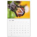 Search for moth calendars Photography