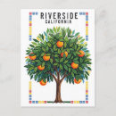 Search for orange trees postcards California