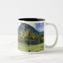 Search for gregs mugs Palm tree