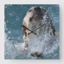 Search for dog man posters clocks Funny