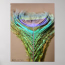 Search for peacock feather painting posters Vibrant