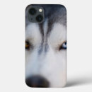 Search for snow ipad cases Alaskan dog