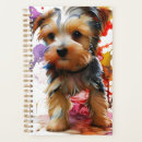 Search for yorkie Yorkie puppy