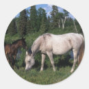 Search for mare and foal stickers Equestrian