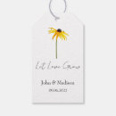 Search for black eyed susan Flower