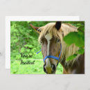 Recherche de belgie invitations Cheval