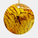 Search for mosquito ornaments Insects