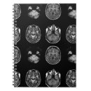 Search for brain notebooks Anatomy