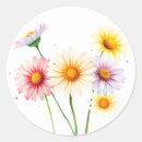 Search for colour effect stickers Bright