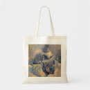 Search for peaks bags Blue