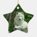 Search for white wolf ornaments Dog