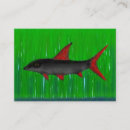 Recherche de shark business cards Requin