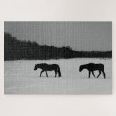Search for horses and snow puzzles Winter