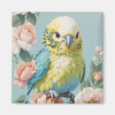 Recherche de boudine magnets Mignon