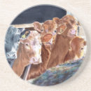 Recherche de veau dessous de verres Bétail