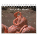 Search for monkey calendars Orangutan