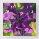 Search for iris clocks Purple